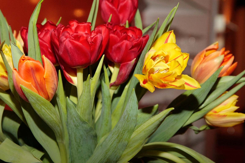 Tulpenstrauß